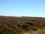verzakkende horizon