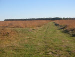 de driesprong
