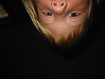 zelfportret