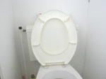 atelier wc, altijd weer boeiend.