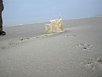 emmer op Ameland