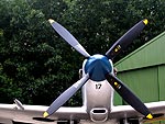 spitfire
