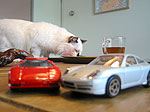 Tonto & Porsche
